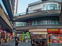 -环球汇·天誉