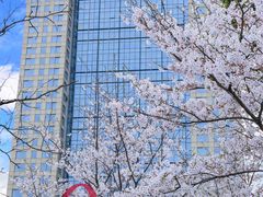 -上海新发展亚太JW万豪酒店
