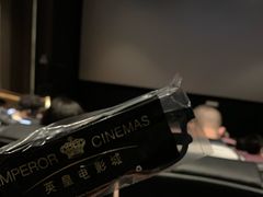 -英皇电影城(英皇集团中心IMAX店)