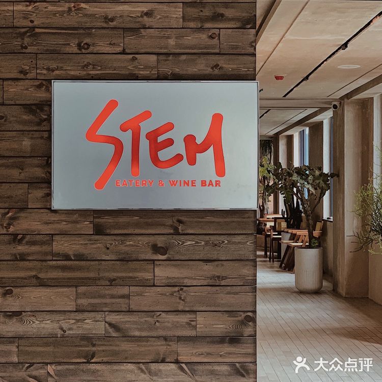 广州新店|远离城市喧嚣🍃来一份森系下午茶