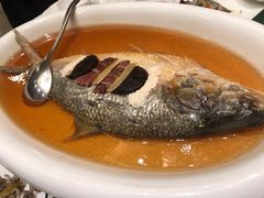 清蒸鲥鱼-宁波汉通海鲜大酒店(江湾店)
