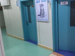 -北京观赏动物医院·24小时大型综合·猫专科·异宠专科