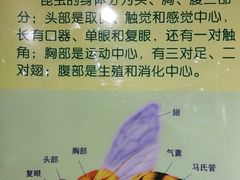 -上海昆虫博物馆