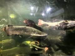 -泉州海丝野生动物世界