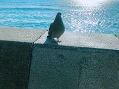 -灌篮高手动画打卡地