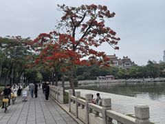 -顺峰山公园