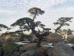 -罗红摄影艺术馆