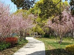 -南通濠河风景名胜区