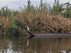 -大理洱源西湖景区
