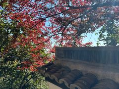 -大慈岩风景区