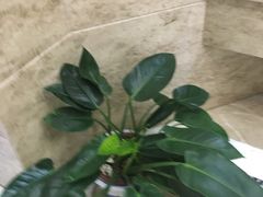 -山明水秀大饭店