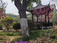 -山东省千佛山医院