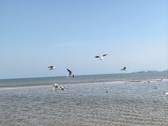 -东戴河风景区-止锚湾