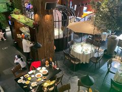 -三强鸽子(中原路店)