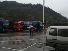 -天适樱花悠乐园