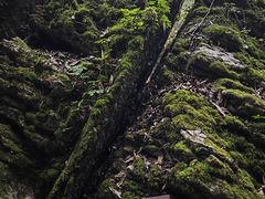 -山王坪喀斯特国家生态公园