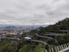-福道