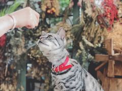 -小时光咖啡馆(北锣鼓巷店)