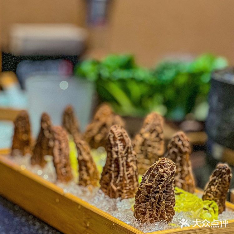 在深圳，首家野生菌石锅土鸡，一口鲜掉牙❗️