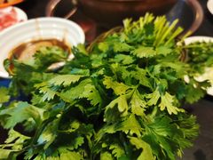 -将台涮肉(酒仙桥店)