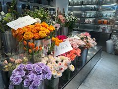 -植物学家的女儿(北马道巷店)