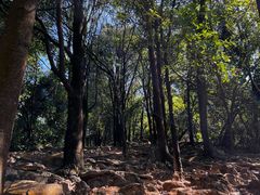 -火炉山森林公园