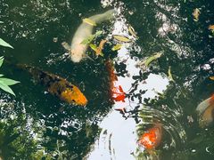 -成都杜甫草堂博物馆