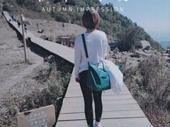 -白草畔自然风景区