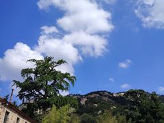 -无染寺