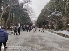 -北海道神宫