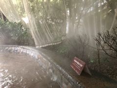-杭州第一世界大酒店·云曼温泉