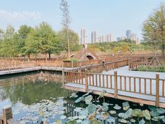 -五缘湾湿地公园