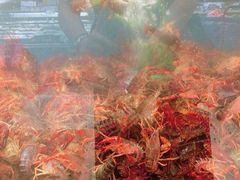 -伊藤洋华堂(温江店)