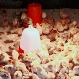 六一遛娃 | 可以玩水钓鱼喂动物的亲子农庄，团购价好划算