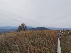 -妙峰山风景名胜区
