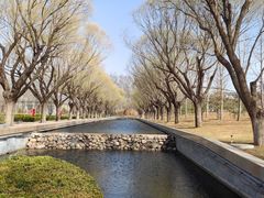 -廊坊文化艺术中心