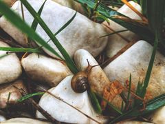 -武清南湖绿博园