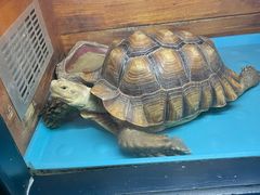 -洛阳龙门海洋馆
