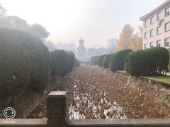 -四川大学(华西校区)