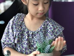 -亚洲国际大酒店·云顶阁旋转自助餐厅