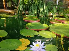 -国家植物园南园