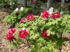 -江南大学(蠡湖校区)