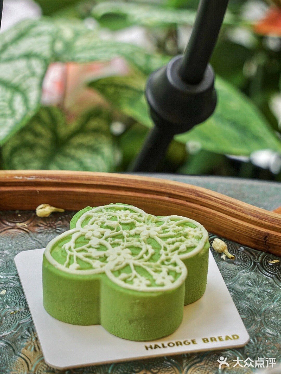 🥯嘿啰面包x太湖雪…是谁爱上了！！