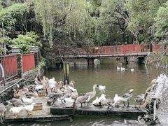 -香山小厨(南联路店)