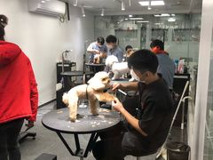 -宠物家(双井店)