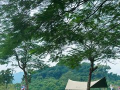 -大屏嶂森林公园