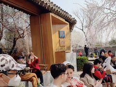 -春风习习