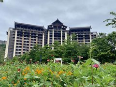 -清远熹乐谷温泉度假酒店