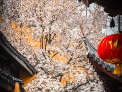 -龙华寺