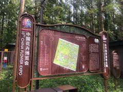 -东平国家森林公园